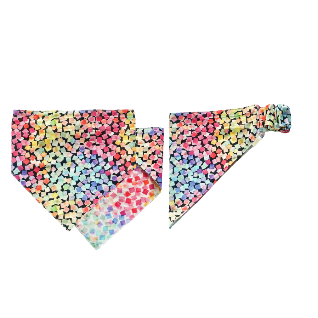 Black/white rainbow confetti reversible scrunchie pet bandana – slips over the head, handmade in New Zealand.