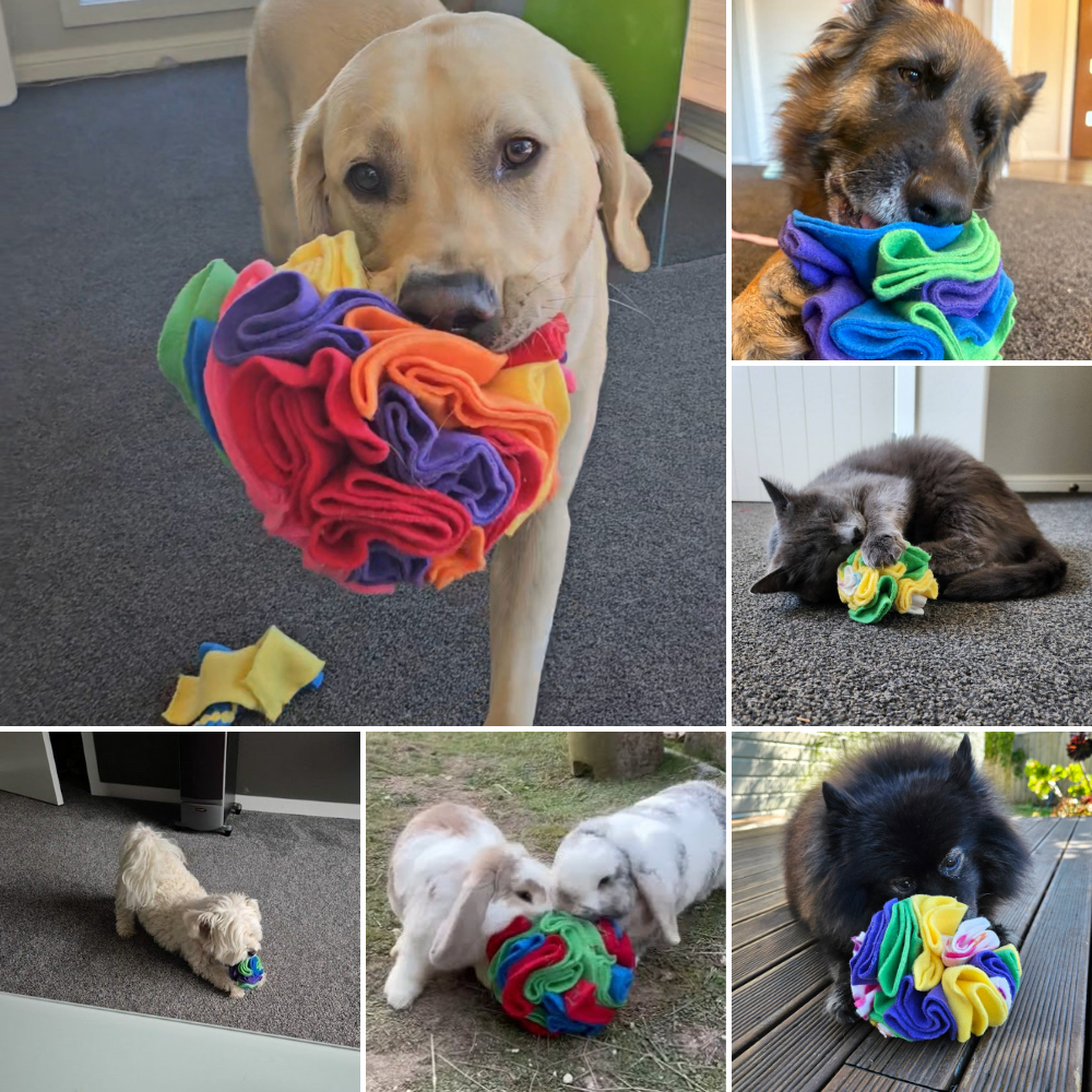 Collage of dogs, cats and bunnies playing with snuffle balls.
