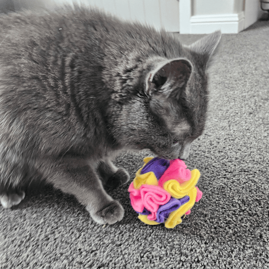 Grey cat playing with a small Snuffle Ball in the colourway Bloom - Pink, purple and yellow.